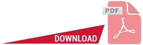PDF Icon
